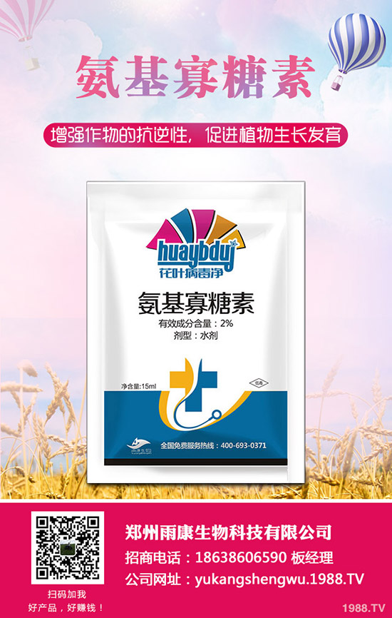 ���Ѱl(f��)���ʺ���ô�k�����ѷʺ���ô���ٻ֏ͣ�