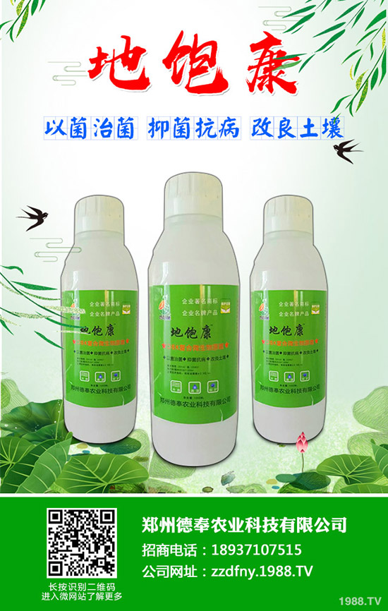 �ϹϺ��ǲ�����Щ�Y�����ϹϺ��ǲ����η���