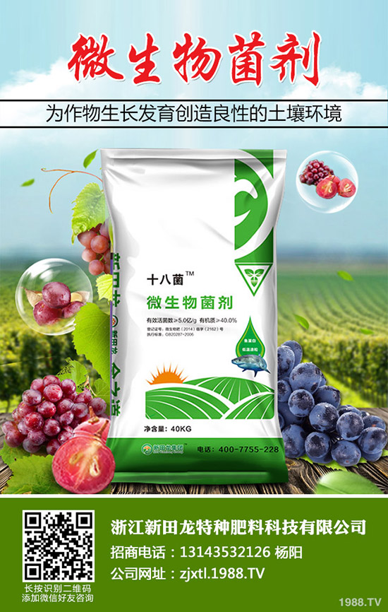 �Ϲ����Ҏ(gu��)�����Ϲϵ�ʩ�ʷ���