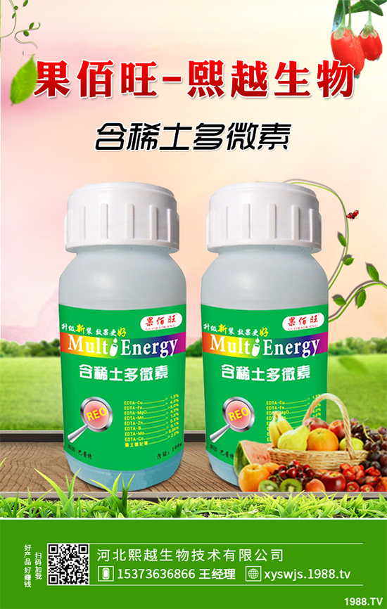 洋桔梗該如何種植?洋桔梗栽培種植技術(shù)