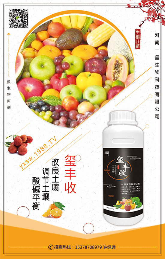 ��������ô�Nֲ��������Nֲ���g(sh��)��