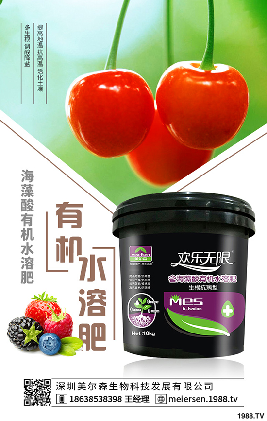 楊梅的品種有哪些?該如何栽培?春季楊梅種植技術(shù)