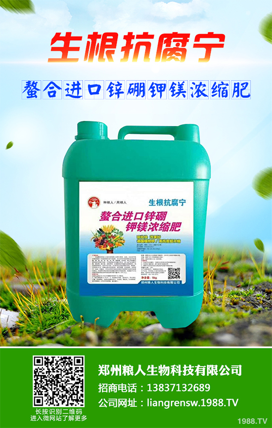 ���~��ԓ��ηNֲ����ˎ�����~��߮a�Nֲ���gҪ�c