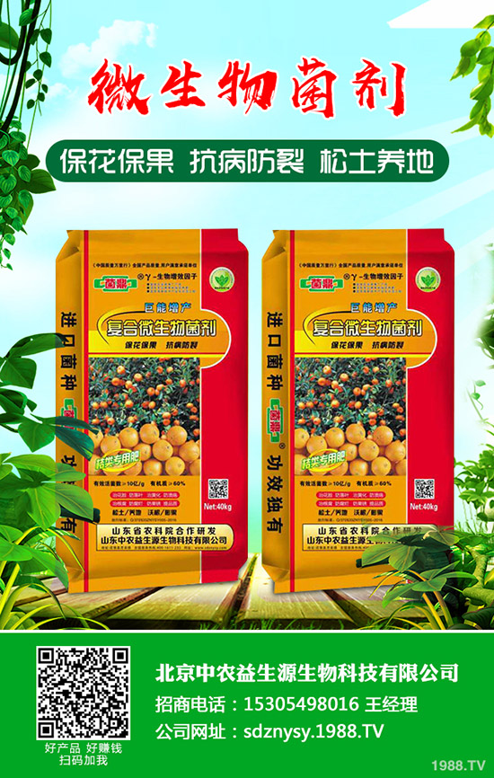 小麥中后期主要病害有哪些?如何防治!防治技術(shù)指導(dǎo)意見(jiàn)有哪些?