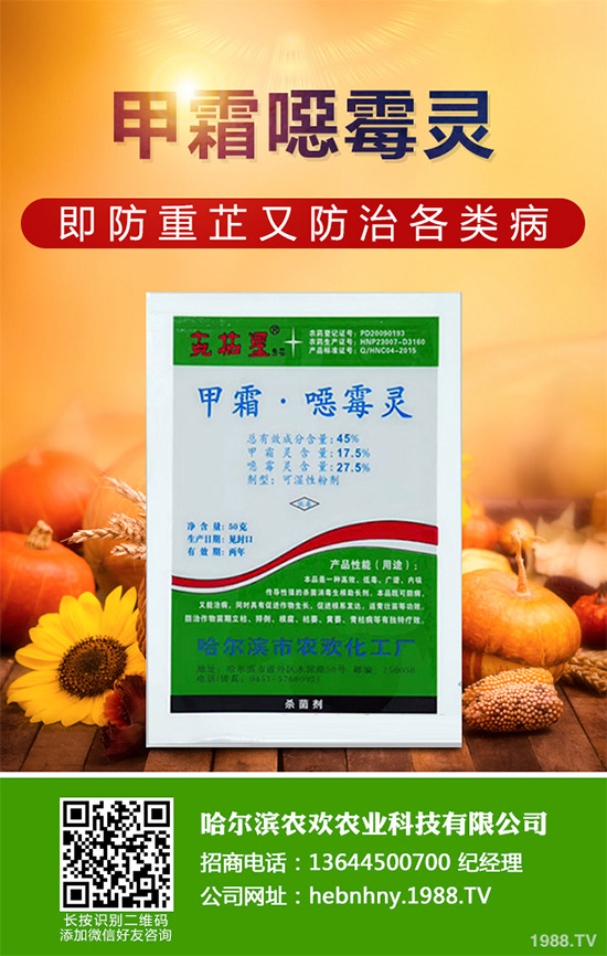 ���������r���������