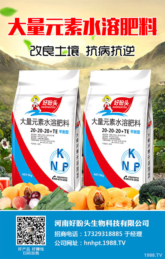 無花果有哪些營養(yǎng)價值？無花果的功效作用及食用禁忌