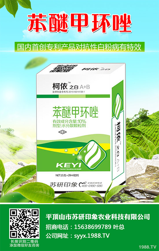     ��ذl(f��)�F(xi��n)���Ծ�������(y��ng)���赾��������(du��)뿾����Ŀ�ˎ�Ԇ�(w��n)�}