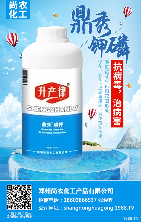     ���{(l��n)���Y(ji��)����ô�k�����{(l��n)���Y(ji��)��ԭ�򼰷��δ�ʩ��