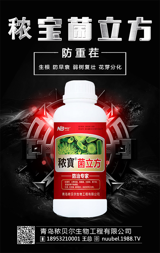 ����ʲô�r����Բ��������պ�İ�����ô̎����