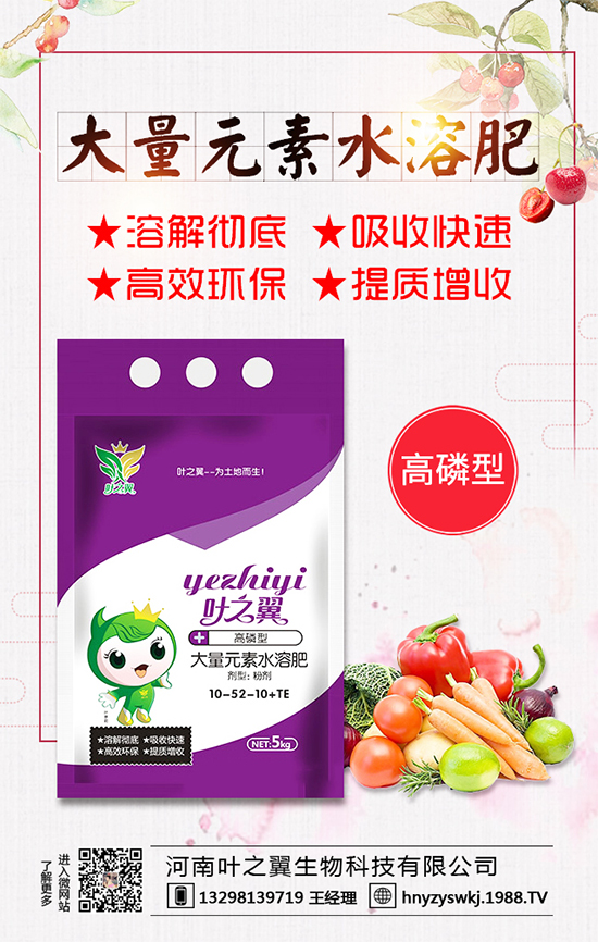 �������L��(x��)������Щ�����ɵ����g����Ҫ�c��