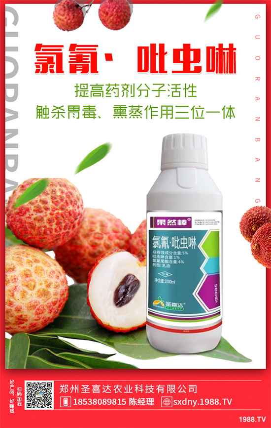 ��������ӛ���������x�y��߀�������������T��Ҫ���(qu��n)��������