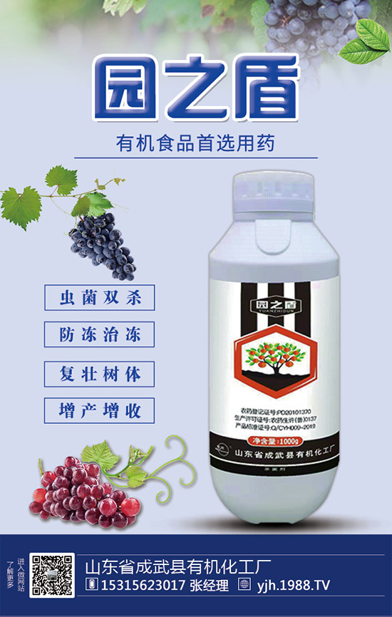 �J�S���ʩ�����J�S��ʲô���Ϻã��J�S������c��ע�������