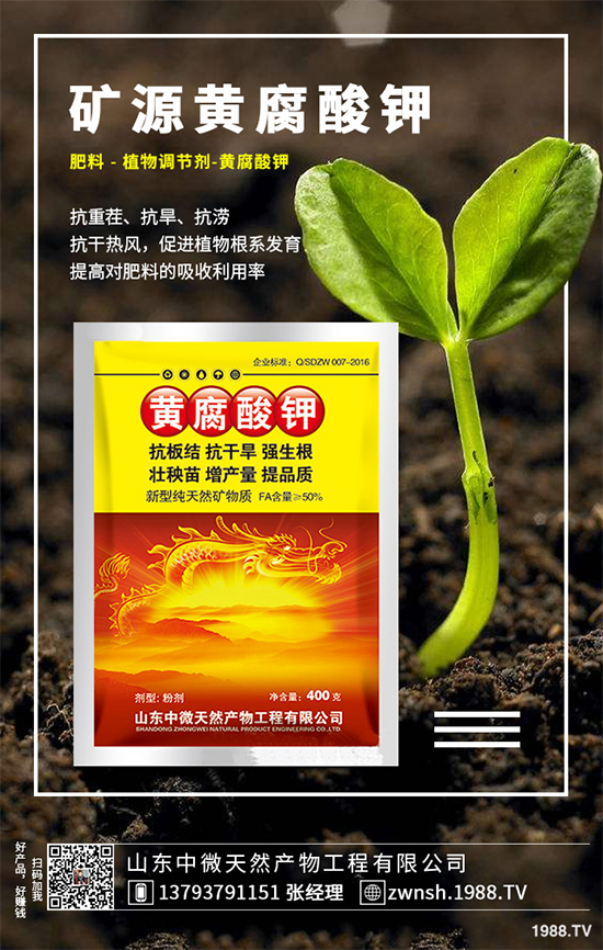 ������ԓ��η�ֳ�������ǵķ�ֳ���g(sh��)�������