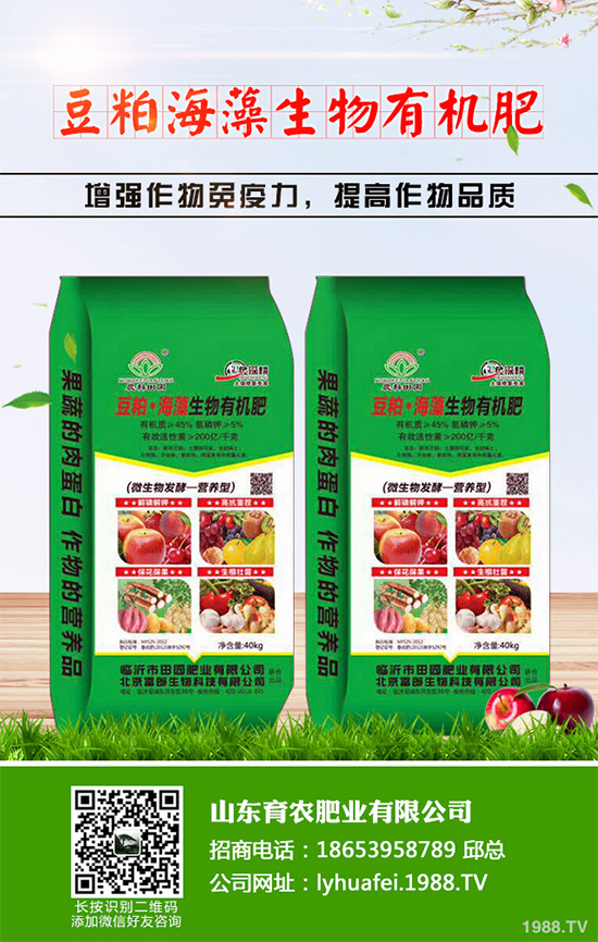 ��z�ʾ�ԓ��������������������z�ʾո߮a(ch��n)�������