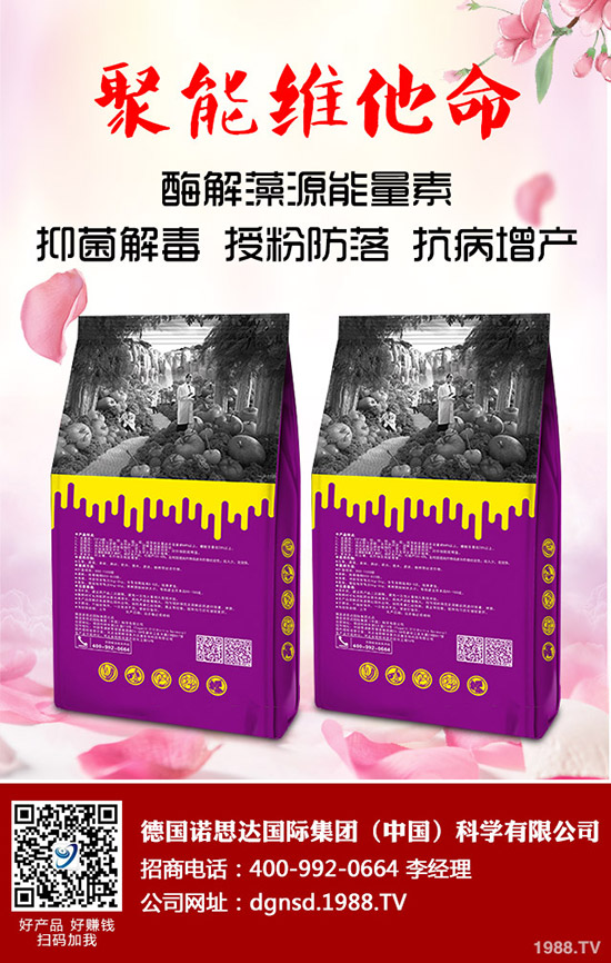 �ܱ��Ϲ���ô�Nֲ���ܱ��Ϲϵ����༼�g(sh��)Ҫ�c(di��n)�c������