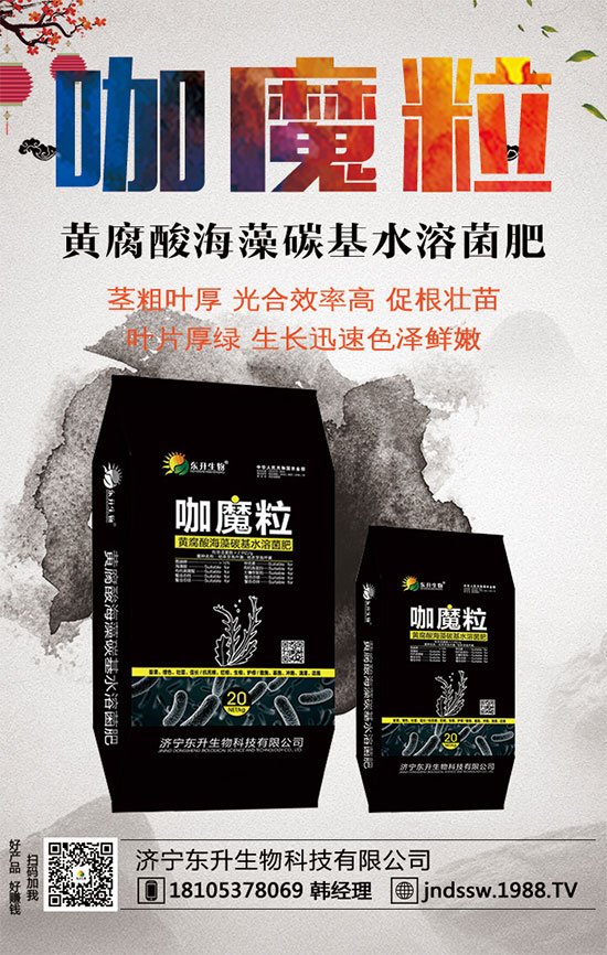 С����ʲô�g�Nֲ�r(sh��)��С���۷Nֲ����Ҫ�c(di��n)��