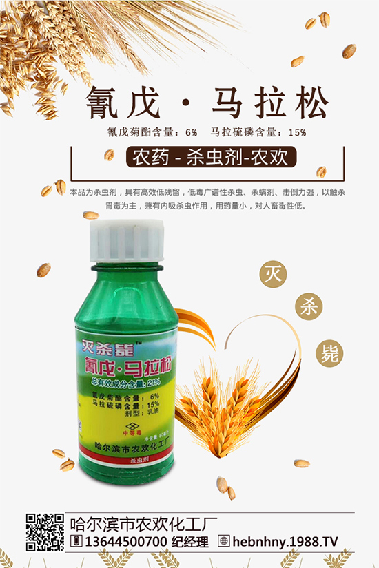 �x(ch��ng)���߷��ڡ������x(ch��ng)ຸ�Ч���x(ch��ng)�����Դ������