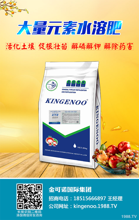 種植油茶能掙錢(qián)嗎?2020年油茶樹(shù)種植前景及效益分析