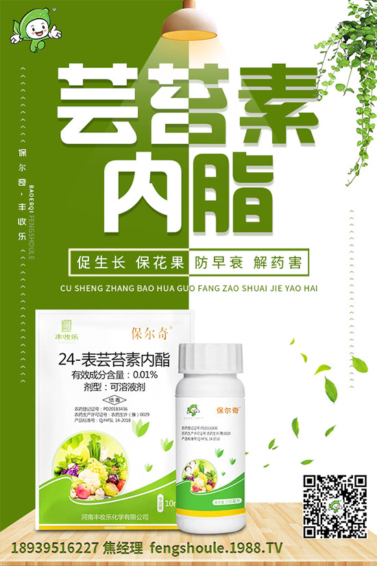 �������ô�޽�����ϼ޽Ӹ߮a(ch��n)�Nֲ���g(sh��)��