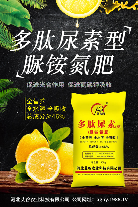 �ļ����NֲҪ�c���ļ������缼�g(sh��)�����ڹ���