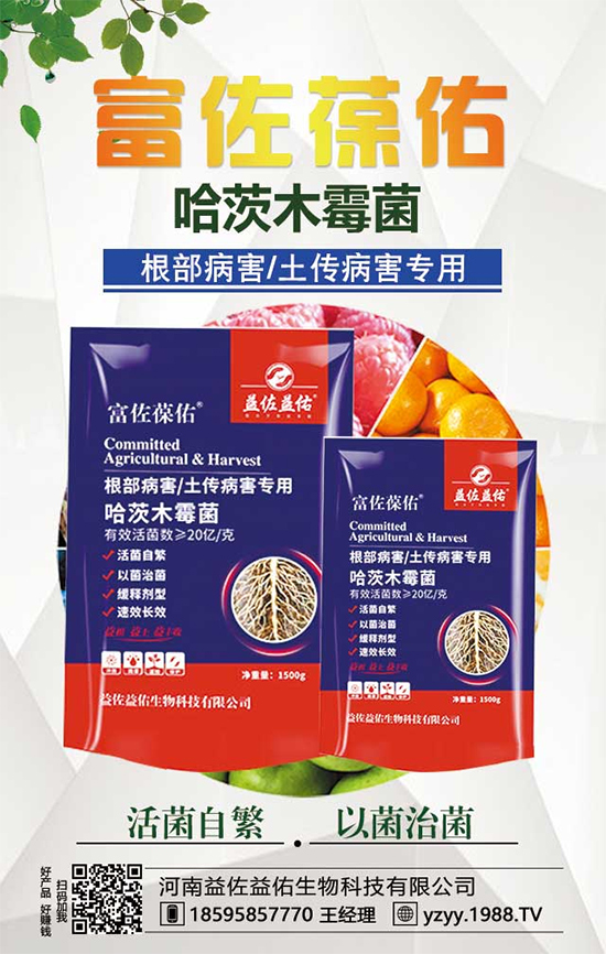 芋頭都有什么營養(yǎng)價值?吃芋頭有什么好處?