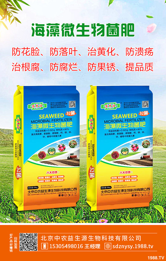 ��ľ������ע�����(xi��ng)����Щ����ľ�����N�xُע������Щ��