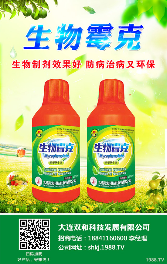 春胡蘿卜什么時候種植?如何種植才能高產(chǎn)呢?