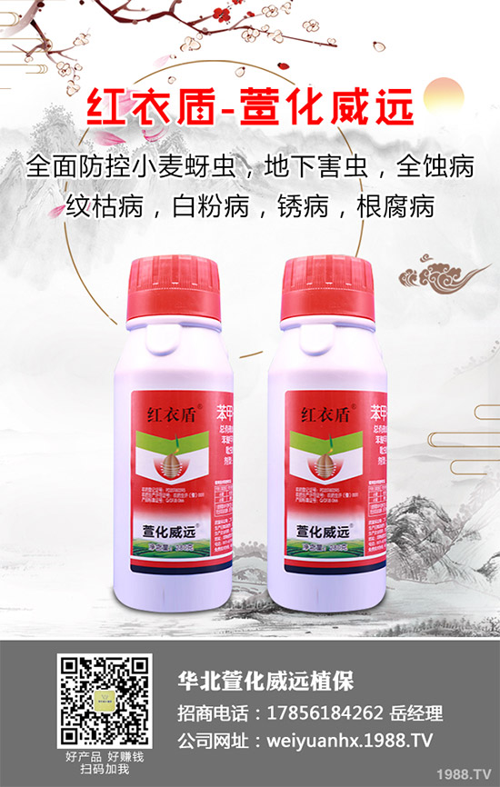     �𻨿��ֽв�ܽ�ء�Ұܽ�صȵ�����һ�N��ˎ�á�ʳ�Þ�һ�w����������Ѫ���(zh��n)ʹ�ȸ��N��Ч�Ĳݱ�ֲ������Ҫ����ˮ�[��������I(y��ng)�B(y��ng)�r(ji��)ֵҲ�Ƿǳ��S���������҇�(gu��)�ǳ��ܚgӭ����ô���𻨿�ԓ������������𻨿��߮a(ch��n)���༼�g(sh��)����Щ��