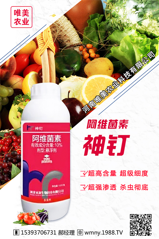 ���[������Ʒ�N����Щ���Nֲ���[���h(hu��n)���l����Ҫ��