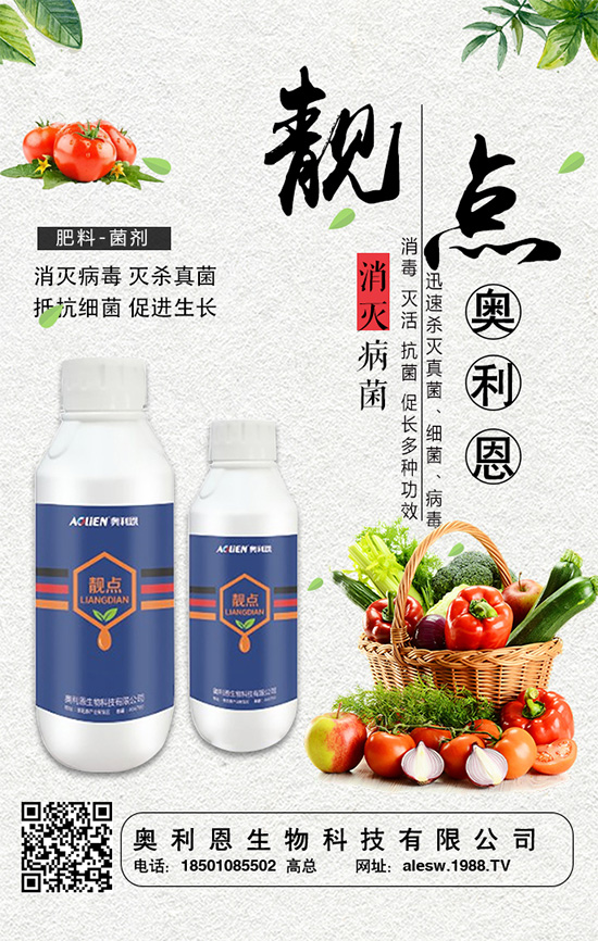 ���[���L��������c�����[�����_ʩ�ʷ���