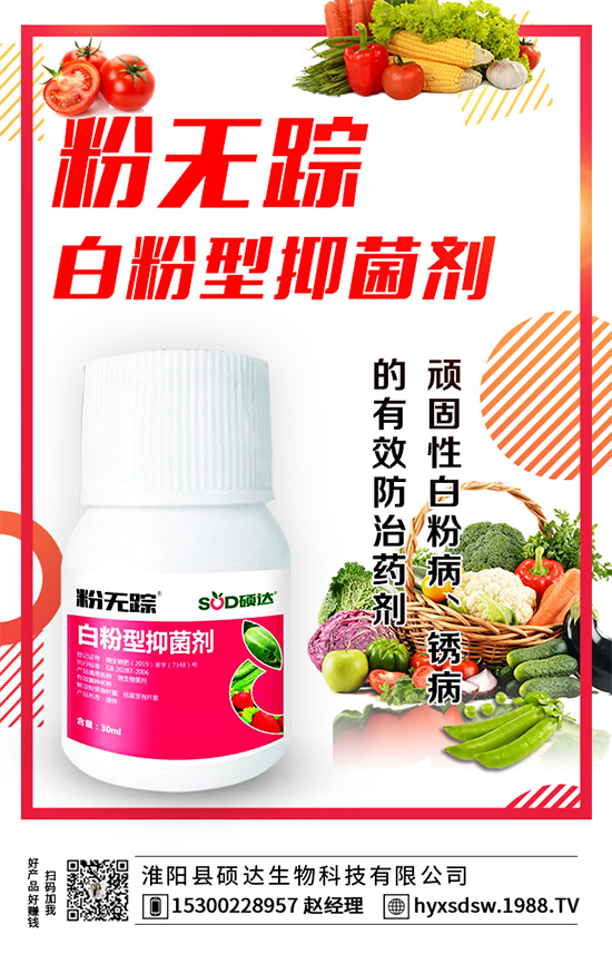 ������ô�Nֲ�������Nֲ���g(sh��)Ҫ�c(di��n)��