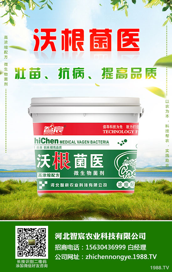 ⛷ʃr(ji��)�����wƫ���\(y��n)�У�����⛷��������2020-5-15��