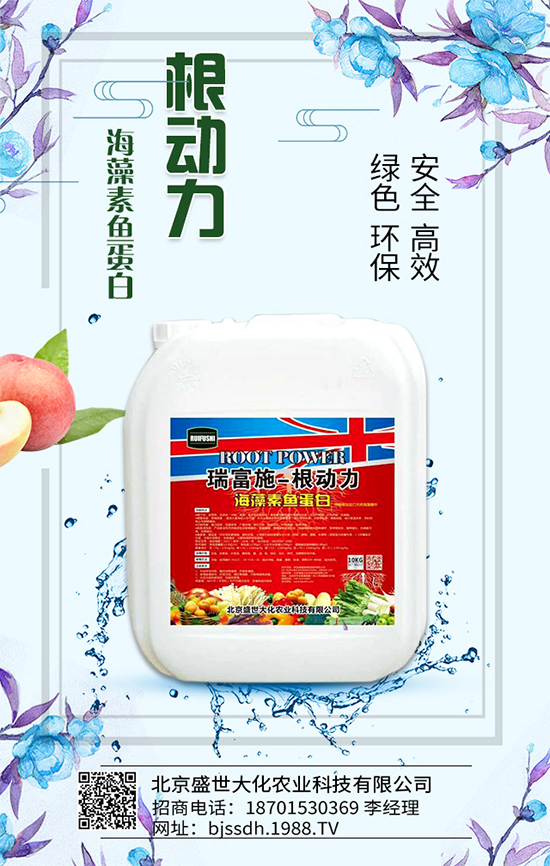 杏樹怎么育苗定植?如何培育杏苗進(jìn)行嫁接?