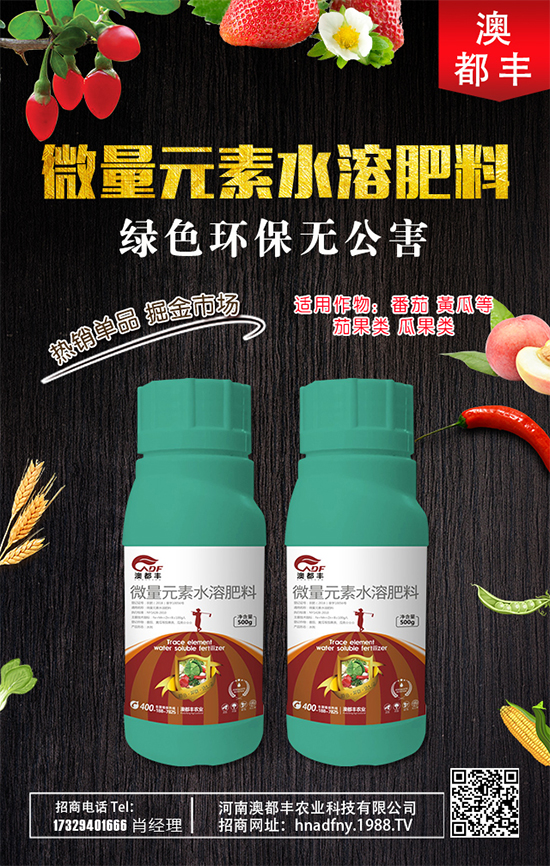 甜瓜什么時間種植好?甜瓜種植技術要點!