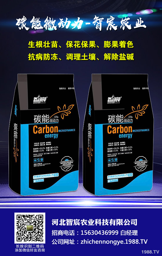 ���ϵ��������������ʩ���Ľ�����