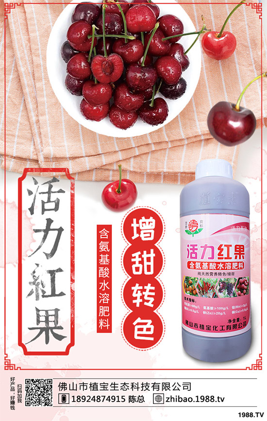     һ�@ӆ�����@�������������@�r�������Ո�