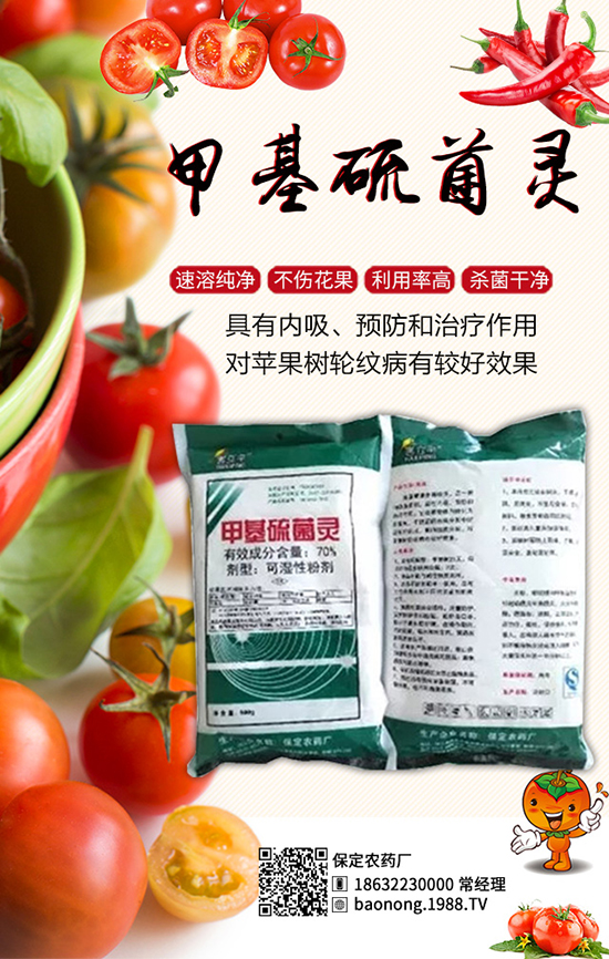 ������������أ���Ч����â���ǰ��������u���