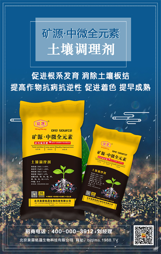 ��֥��ʲô�r�g�Nֲ����֥�����༼�gҪ�c��