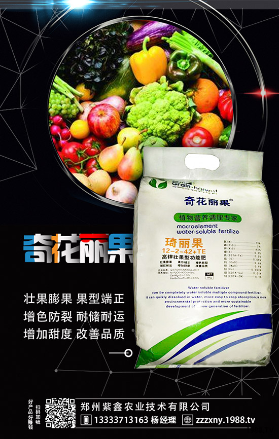 草莓母苗定植后怎樣施肥?怎樣澆水?