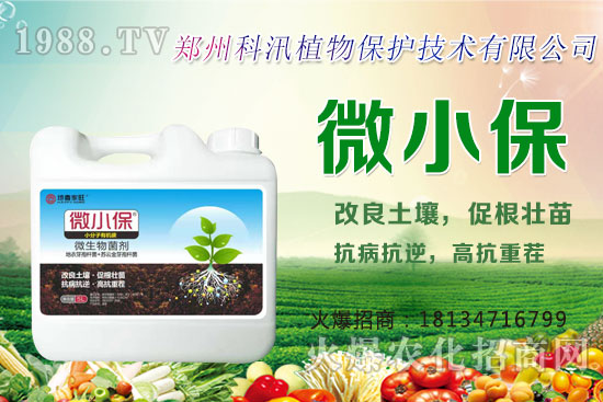 ����Ĺ�Ч�c���ã������c�����Ă�(g��)���РI(y��ng)�B(y��ng)��