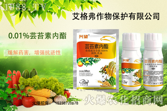 ���؃r(ji��)��