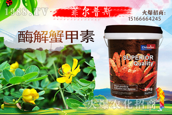 ������ô�Nֲ�������Nֲ���g(sh��)Ҫ�c(di��n)��