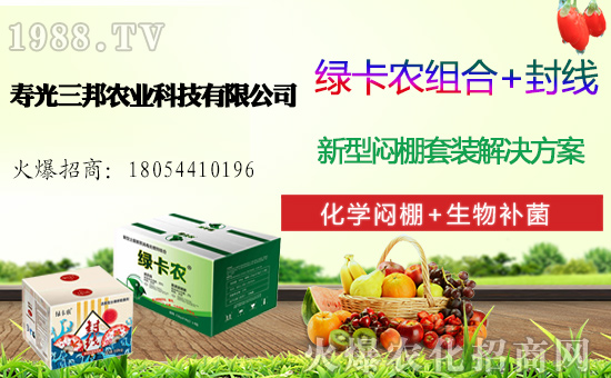 �ײ˶����Xһ����һ���خa(ch��n)���ٽ�ײ����ײ˷Nֲǰ��������(r��n)������