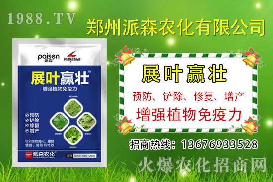 韭菜什么時(shí)候播種?韭菜市場(chǎng)前景如何?(種植成本及利潤分析)