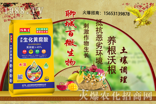 ������ʲô�r��׷������ʲô���ϣ�����׷����ʲôע�������