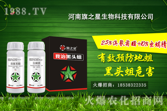 ʲô�Ǿ����������l(f��)��Ҏ(gu��)���������o(w��)�������η�����