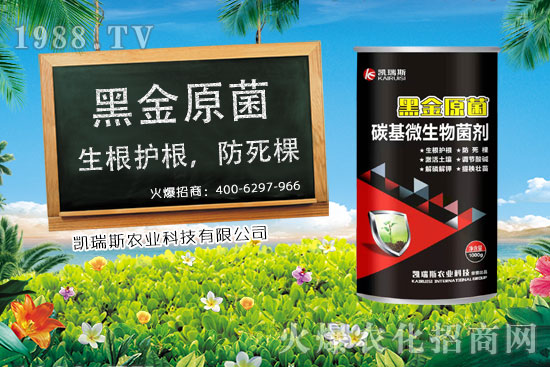     ����ʲô�r(sh��)����������׵��ի@�r(sh��)�������׵ĠI(y��ng)�B(y��ng)�r(ji��)ֵ��