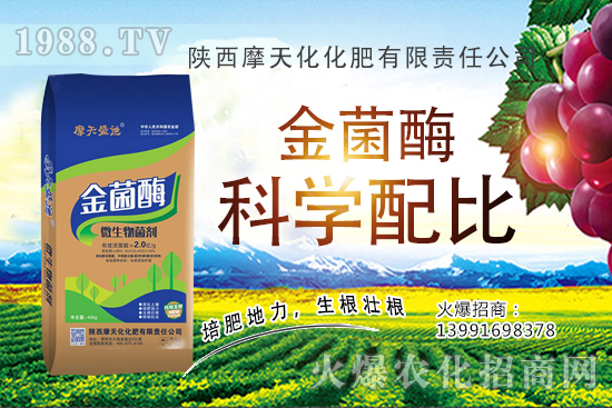 �Nһ���O���ĳɱ��Ƕ������ж����������O���Nֲ���g(sh��)�c������