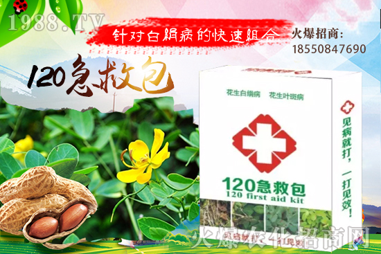 �ȹ����緽������Щ���ȹ���ô���Զ�ֲ��