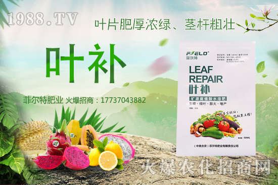 �o�����Nֲǰ����ô�ӣ��o�����Nֲ�r�g�ͷ�����